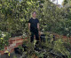 Australiano transforma espaço de 60 m² em “fazenda urbana” Australiano transforma espaço de 60 m² em “fazenda urbana”