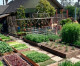 Família norte-americana produz 3 toneladas de alimentos orgânicos no próprio quintal