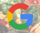Por que as dietas ‘milagrosas’ mais buscadas no Google não funcionam