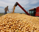 Safra brasileira de grãos 2015/16 deve atingir 210,3 milhões de toneladas