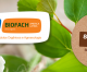 Bio Brazil Fair: maior feira de produtos orgânicos terá rodada de negócios Bio Brazil Fair: maior feira de produtos orgânicos terá rodada de negócios