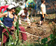 Hortelões Urbanos: do Facebook ao cultivo de hortas comunitárias nos espaços públicos de SP