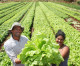 Em 7 anos, Brasil triplica o número de agricultores orgânicos registrados