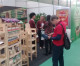 Ferrari Stella, agência voltada aos orgânicos e saudáveis, detecta expansão dos veganos na BioBrazil Fair e Naturaltech Ferrari Stella, agência voltada aos orgânicos e saudáveis, detecta expansão dos veganos na BioBrazil Fair e Naturaltech