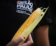Agricultura de São Paulo lança semente de milho para produção orgânica