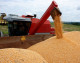 Brasil colhe safra recorde, mas preços dos alimentos não recuam Brasil colhe safra recorde, mas preços dos alimentos não recuam
