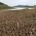 Crise da água já afeta agricultura no Brasil