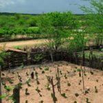 Técnicas para armazenar água e produzir alimentos ajudam a viver no Semiárido do Ceará