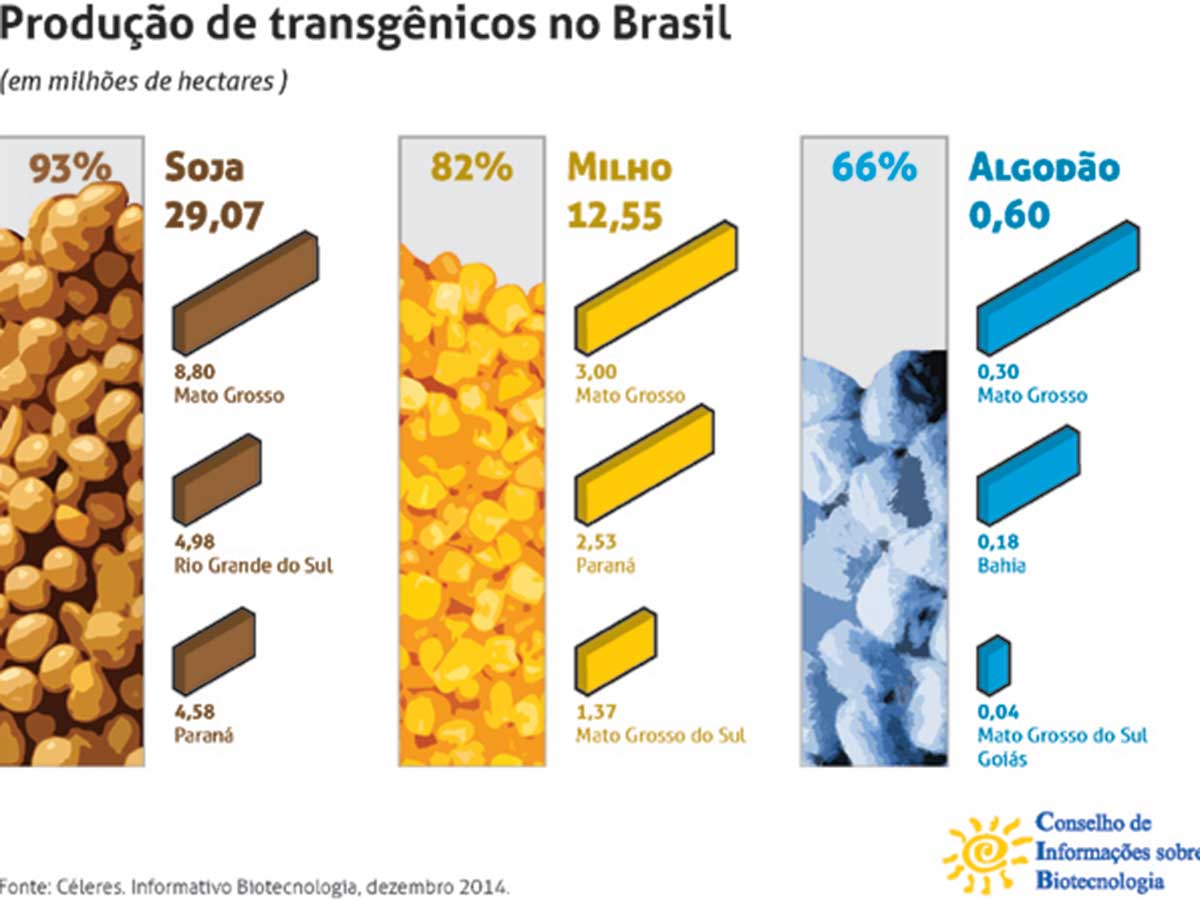 PDF) LAVOURAS TRANSGÊNICAS Riscos e incertezas Mais de 750 estudos