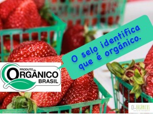 campanha-ci-organicos