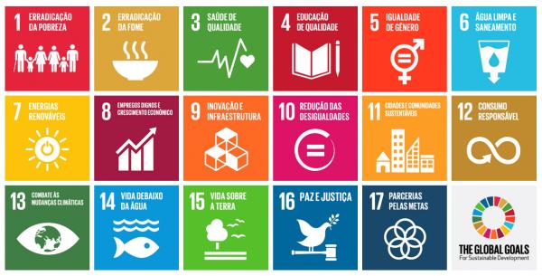 Desenvolvimento sustentável: o que é e como podemos ajudar?