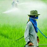 Ministério da Saúde aponta uso excessivo de agrotóxicos no Brasil