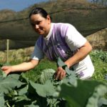Brasil dobra o número de agricultores orgânicos em três anos